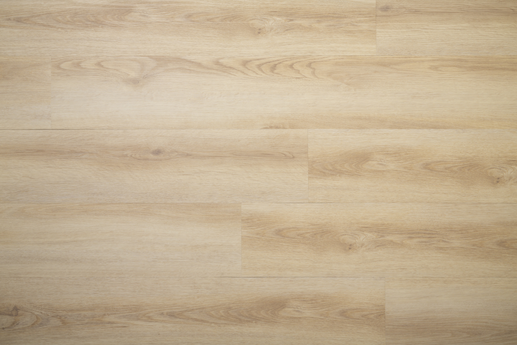 APPALACHIAN MOUNTAINS